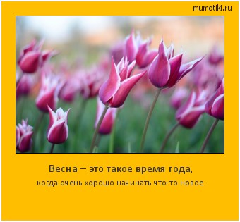 Весна – это такое время года, когда очень хорошо начинать что-то новое. #мотиватор