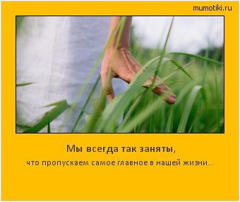 Мы всегда так заняты, что пропускаем самое главное в нашей жизни... #мотиватор